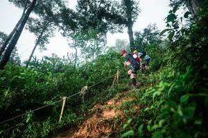 BIB: 
                            <button type="button" onclick="openModal(26202167)" class="btn btn-primary btn-sm float-right btn-popup" data-toggle="modal" data-target=".modal-high-quality">
                        <i class="fas fa-shopping-cart"></i> Add to Cart
                    </button>
                                            <button type="button" onclick="isThisMe(26202167, true)" class="btn btn-success btn-sm float-right btn-popup btn-isme hidden" data-toggle="tooltip" data-placement="bottom" title="นี่คือรูปของคุณใช่ไหม คลิกที่นี่เพื่อเอาเข้าอัลบั้ม">
                        <i class="fas fa-plus"></i> Add to album
                    </button>
                    <button type="button" onclick="isThisMe(26202167, false)" class="btn btn-warning btn-sm float-right btn-popup btn-isnotme hidden">
                        <i class="fas fa-ban"></i> Remove from album
                    </button>